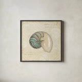 Beach Treasures III by Emily Adams. Shown in a sleek black glass frame for a contemporary gallery look. Available as an archival giclee rolled canvas, fine art paper, or poster print. SKU 13496a.
