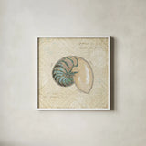 Beach Treasures III by Emily Adams. Shown in a crisp white glass frame for a clean and minimalist style. Available as an archival giclee rolled canvas, fine art paper, or poster print. SKU 13496a.