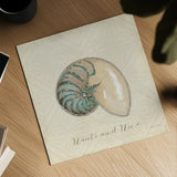 Beach Treasures III Christmas by Emily Adams. Shown as a detailed flat fine art print, highlighting archival giclee quality. Available as an archival giclee rolled canvas, fine art paper, or poster print. SKU 44924a.