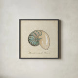 Beach Treasures III Christmas by Emily Adams. Shown in a sleek black glass frame for a contemporary gallery look. Available as an archival giclee rolled canvas, fine art paper, or poster print. SKU 44924a.