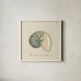 Beach Treasures III Christmas by Emily Adams. Shown in a crisp white glass frame for a clean and minimalist style. Available as an archival giclee rolled canvas, fine art paper, or poster print. SKU 44924a.