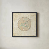 Beach Treasures IV by Emily Adams. Shown in a sleek black glass frame for a contemporary gallery look. Available as an archival giclee rolled canvas, fine art paper, or poster print. SKU 13497a.