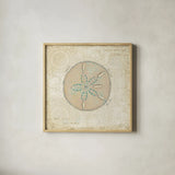 Beach Treasures IV by Emily Adams. Shown in a natural wood glass frame for a timeless modern aesthetic. Available as an archival giclee rolled canvas, fine art paper, or poster print. SKU 13497a.