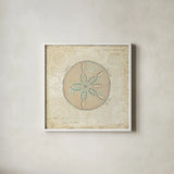 Beach Treasures IV by Emily Adams. Shown in a crisp white glass frame for a clean and minimalist style. Available as an archival giclee rolled canvas, fine art paper, or poster print. SKU 13497a.