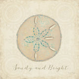 Beach Treasures IV Christmas by Emily Adams. SKU 44925a. Archival Giclee Fine art print for wall decor.