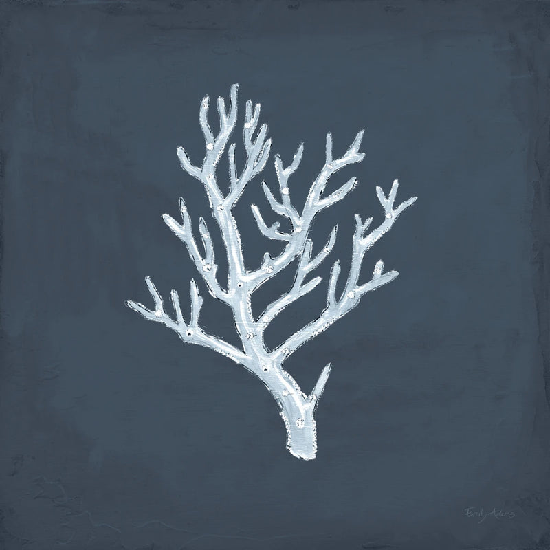 Coral Beauty II v2 by Emily Adams