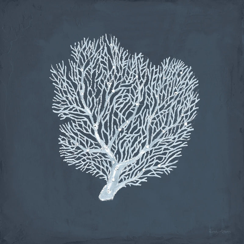 Coral Beauty III v2 by Emily Adams