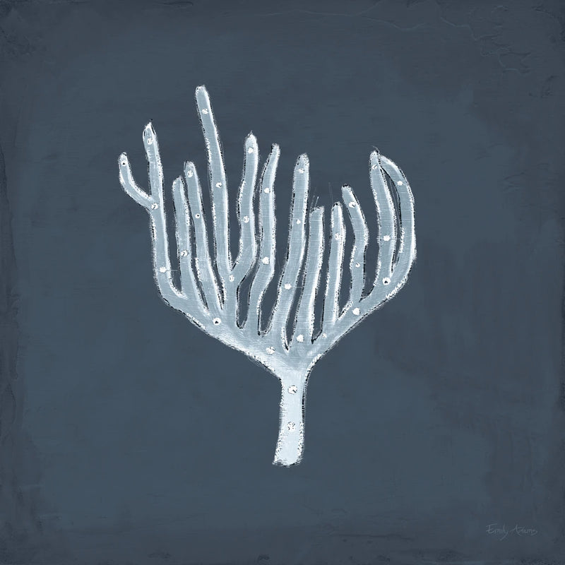 Coral Beauty IV v2 by Emily Adams
