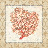 Coral Beauty Light III by Emily Adams. SKU 13490a. Archival Giclee Fine art print for wall decor.