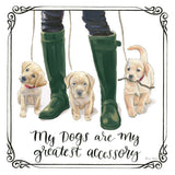 Furry Fashion Friends I My Dogs by Emily Adams. SKU 38516a. Archival Giclee Fine art print for wall decor.
