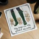 Furry Fashion Friends I My Dogs by Emily Adams. Shown as a detailed flat fine art print, highlighting archival giclee quality. Available as an archival giclee rolled canvas, fine art paper, or poster print. SKU 38516a.