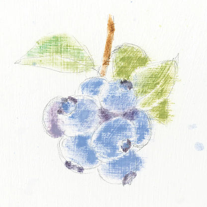 Garden Delight II by Emily Adams. SKU 24835a. Archival Giclee Fine art print for wall decor.