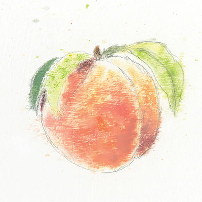 Garden Delight IV by Emily Adams. SKU 24837a. Archival Giclee Fine art print for wall decor.