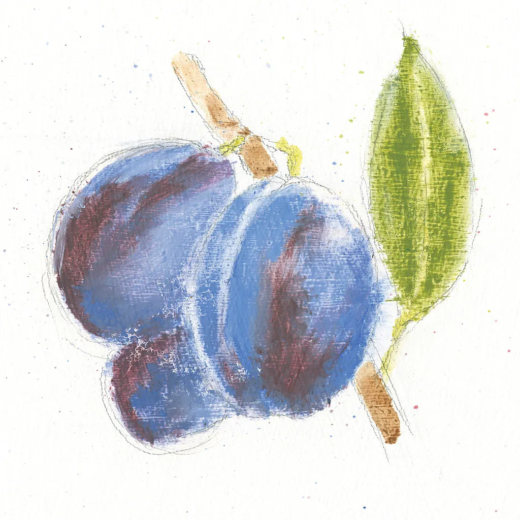 Garden Delight VI by Emily Adams. SKU 24839a. Archival Giclee Fine art print for wall decor.