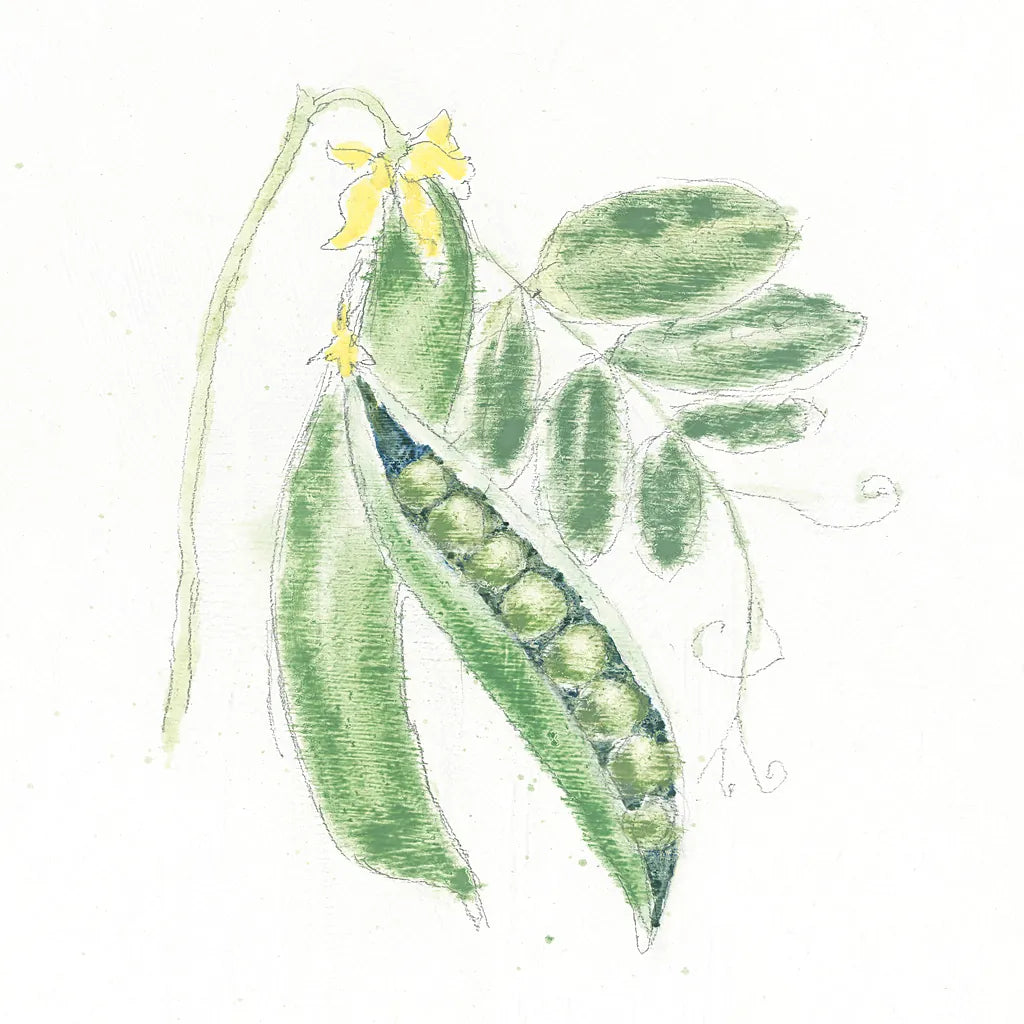 Garden Delight XI by Emily Adams. SKU 24844a. Archival Giclee Fine art print for wall decor.