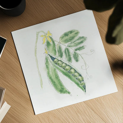 Garden Delight XI by Emily Adams. Shown as a detailed flat fine art print, highlighting archival giclee quality. Available as an archival giclee rolled canvas, fine art paper, or poster print. SKU 24844a.