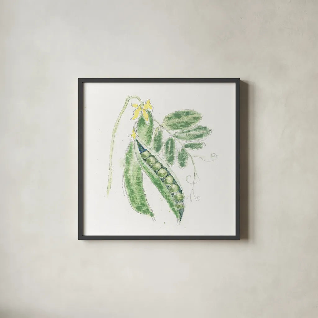 Garden Delight XI by Emily Adams. Shown in a sleek black glass frame for a contemporary gallery look. Available as an archival giclee rolled canvas, fine art paper, or poster print. SKU 24844a.