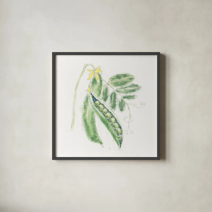 Garden Delight XI by Emily Adams. Shown in a sleek black glass frame for a contemporary gallery look. Available as an archival giclee rolled canvas, fine art paper, or poster print. SKU 24844a.