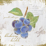 Garden Treasures V by Emily Adams. SKU 25988a. Archival Giclee Fine art print for wall decor.