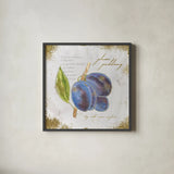 Garden Treasures VI by Emily Adams. Shown in a sleek black glass frame for a contemporary gallery look. Available as an archival giclee rolled canvas, fine art paper, or poster print. SKU 25989a.
