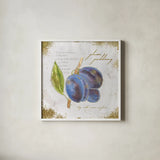 Garden Treasures VI by Emily Adams. Shown in a crisp white glass frame for a clean and minimalist style. Available as an archival giclee rolled canvas, fine art paper, or poster print. SKU 25989a.