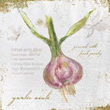 Garden Treasures XI by Emily Adams. SKU 25994a. Archival Giclee Fine art print for wall decor.