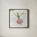 Garden Treasures XI by Emily Adams. Shown in a sleek black glass frame for a contemporary gallery look. Available as an archival giclee rolled canvas, fine art paper, or poster print. SKU 25994a.