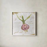 Garden Treasures XI by Emily Adams. Shown in a crisp white glass frame for a clean and minimalist style. Available as an archival giclee rolled canvas, fine art paper, or poster print. SKU 25994a.