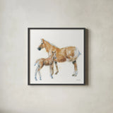 Horse and Colt by Emily Adams. Shown in a sleek black glass frame for a contemporary gallery look. Available as an archival giclee rolled canvas, fine art paper, or poster print. SKU 23727a.