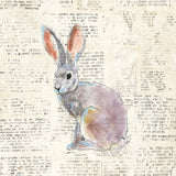 Into the Woods I no Border by Emily Adams. SKU 22876a. Archival Giclee Fine art print for wall decor.