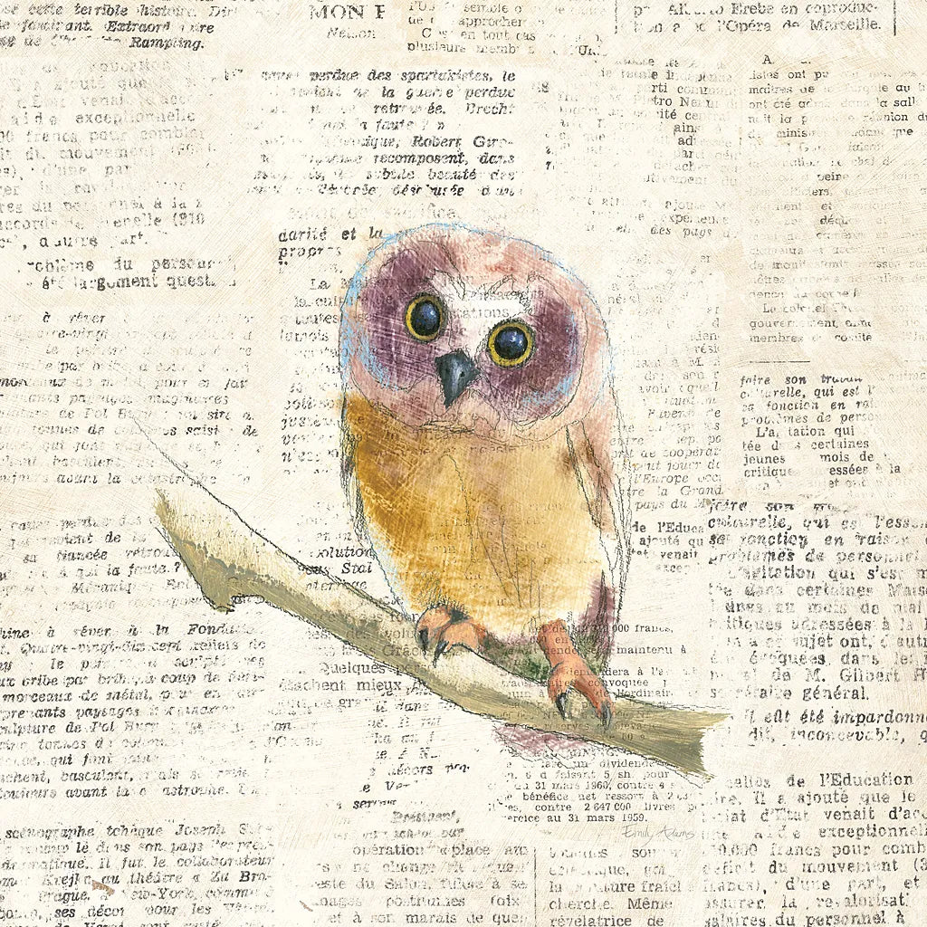 Into the Woods II no Border by Emily Adams. SKU 22877a. Archival Giclee Fine art print for wall decor.