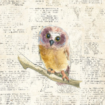 Into the Woods II no Border by Emily Adams. SKU 22877a. Archival Giclee Fine art print for wall decor.