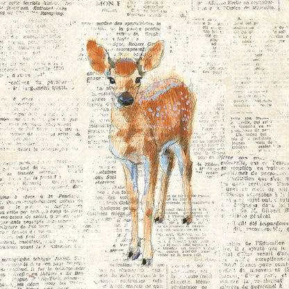 Into the Woods III no Border by Emily Adams. SKU 22878a. Archival Giclee Fine art print for wall decor.