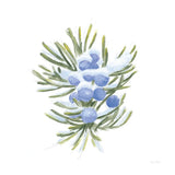 Into the Woods Juniper by Emily Adams. SKU 30993a. Archival Giclee Fine art print for wall decor.