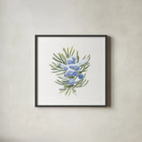 Into the Woods Juniper by Emily Adams. Shown in a sleek black glass frame for a contemporary gallery look. Available as an archival giclee rolled canvas, fine art paper, or poster print. SKU 30993a.