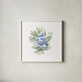 Into the Woods Juniper by Emily Adams. Shown in a crisp white glass frame for a clean and minimalist style. Available as an archival giclee rolled canvas, fine art paper, or poster print. SKU 30993a.