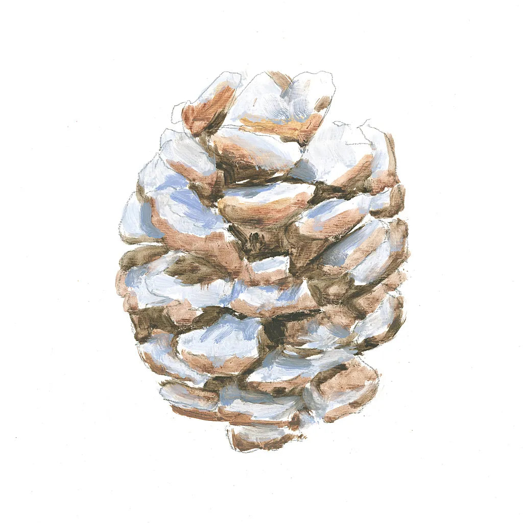 Into the Woods Pinecone I by Emily Adams. SKU 30989a. Archival Giclee Fine art print for wall decor.