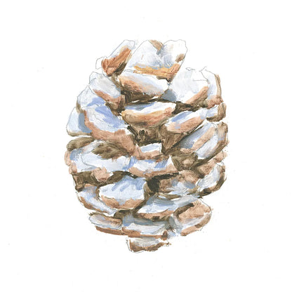 Into the Woods Pinecone I by Emily Adams. SKU 30989a. Archival Giclee Fine art print for wall decor.