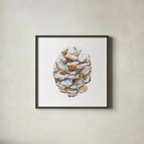 Into the Woods Pinecone I by Emily Adams. Shown in a sleek black glass frame for a contemporary gallery look. Available as an archival giclee rolled canvas, fine art paper, or poster print. SKU 30989a.