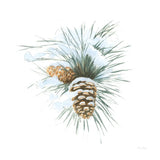 Into the Woods Pinecone II by Emily Adams. SKU 30992a. Archival Giclee Fine art print for wall decor.