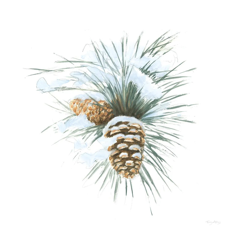 Into the Woods Pinecone II by Emily Adams. SKU 30992a. Archival Giclee Fine art print for wall decor.