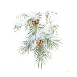 Into the Woods Pinecone III by Emily Adams. SKU 30990a. Archival Giclee Fine art print for wall decor.
