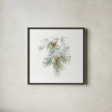 Into the Woods Pinecone III by Emily Adams. Shown in a sleek black glass frame for a contemporary gallery look. Available as an archival giclee rolled canvas, fine art paper, or poster print. SKU 30990a.