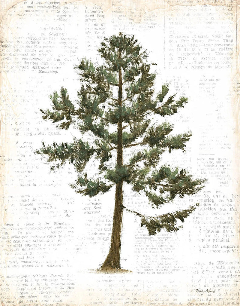 Into the Woods Trees I by Emily Adams