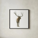 Natural Majesty I by Emily Adams. Shown in a sleek black glass frame for a contemporary gallery look. Available as an archival giclee rolled canvas, fine art paper, or poster print. SKU 30293a.