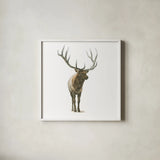 Natural Majesty I by Emily Adams. Shown in a crisp white glass frame for a clean and minimalist style. Available as an archival giclee rolled canvas, fine art paper, or poster print. SKU 30293a.