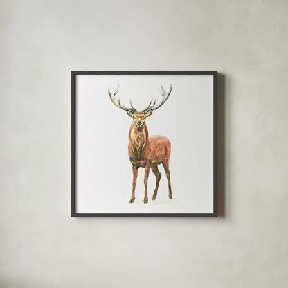 Natural Majesty II by Emily Adams. Shown in a sleek black glass frame for a contemporary gallery look. Available as an archival giclee rolled canvas, fine art paper, or poster print. SKU 30294a.