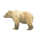 Natural Majesty III by Emily Adams. SKU 30887a. Archival Giclee Fine art print for wall decor.