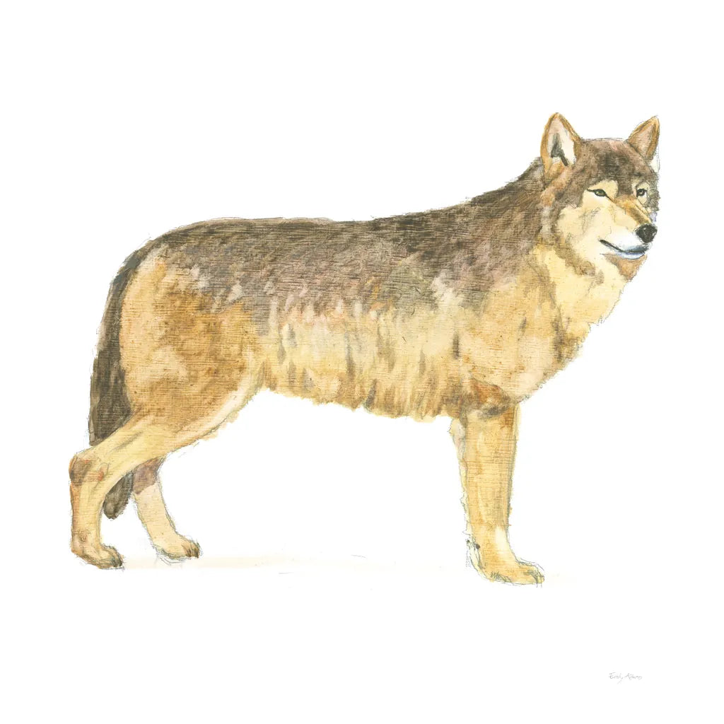 Natural Majesty IV by Emily Adams. SKU 30888a. Archival Giclee Fine art print for wall decor.