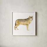 Natural Majesty IV by Emily Adams. Shown in a crisp white glass frame for a clean and minimalist style. Available as an archival giclee rolled canvas, fine art paper, or poster print. SKU 30888a.